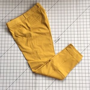 Banana Republic Sloan crop